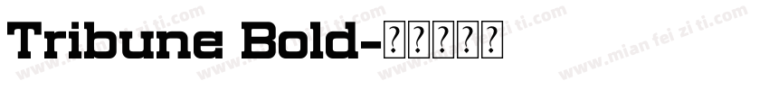 Tribune Bold字体转换